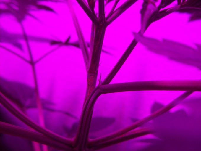 130_0076.JPG